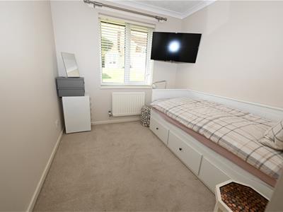 Picture 12